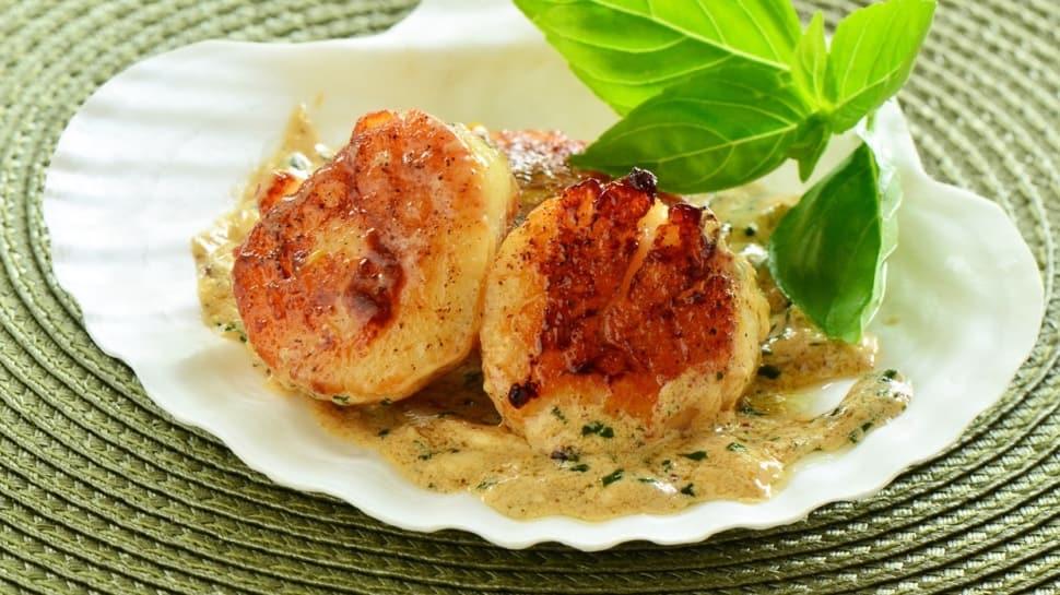 MasterChef'teki deniz tarağı balığı nedir? Nasıl pişirilir?