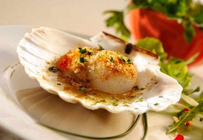 MasterChef'teki deniz tarağı balığı nedir? Nasıl pişirilir?