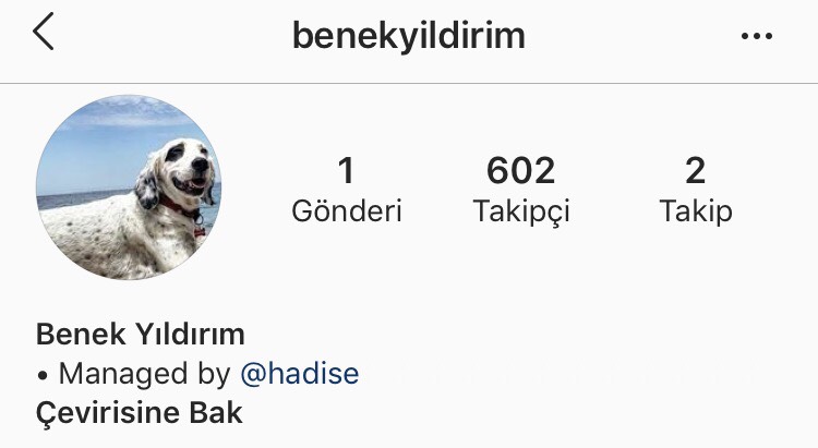 Kaan Yıldırım ile aşk yaşayan Hadise'den ilginç hamle