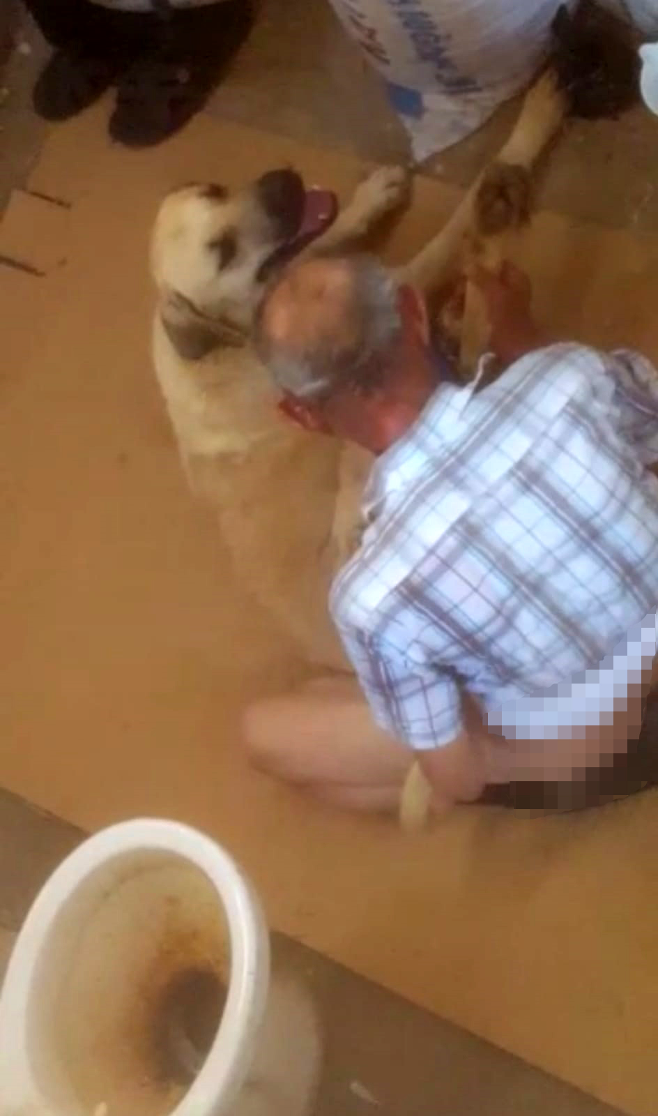 Antalya'da skandal görüntü! Ayaklarını hortumla bağladığı köpeğe tecavüz etti