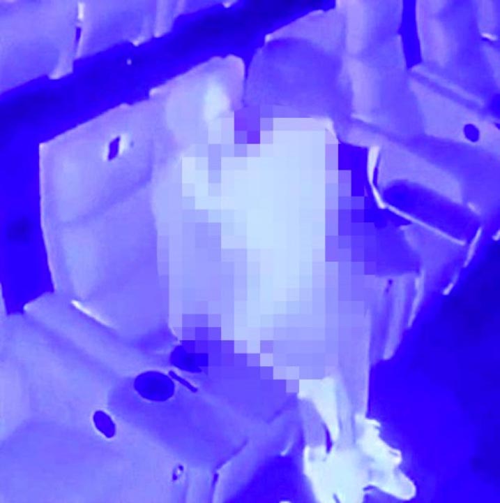 Sinema salonunda ilişkiye giren çiftin kameralara yakalandı