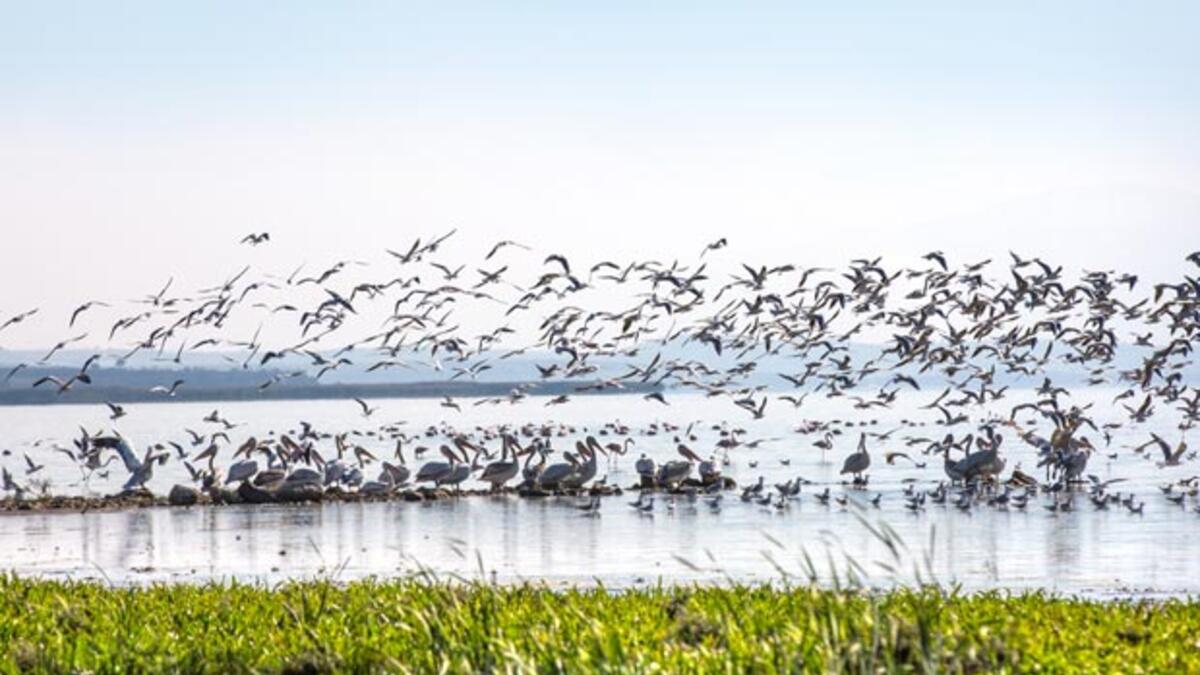 Balıkesir'in neyi meşhur? Balıkesir'de gezilecek yerler