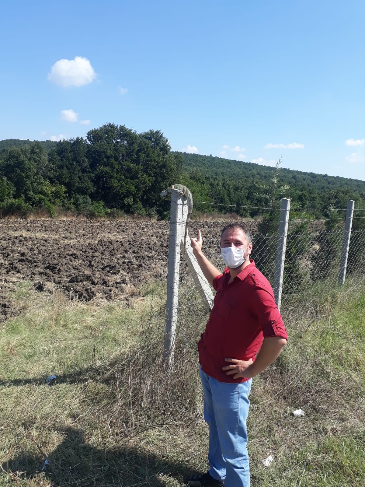 İstanbul'da görülen dev iguana yetkilileri harekete geçirdi!