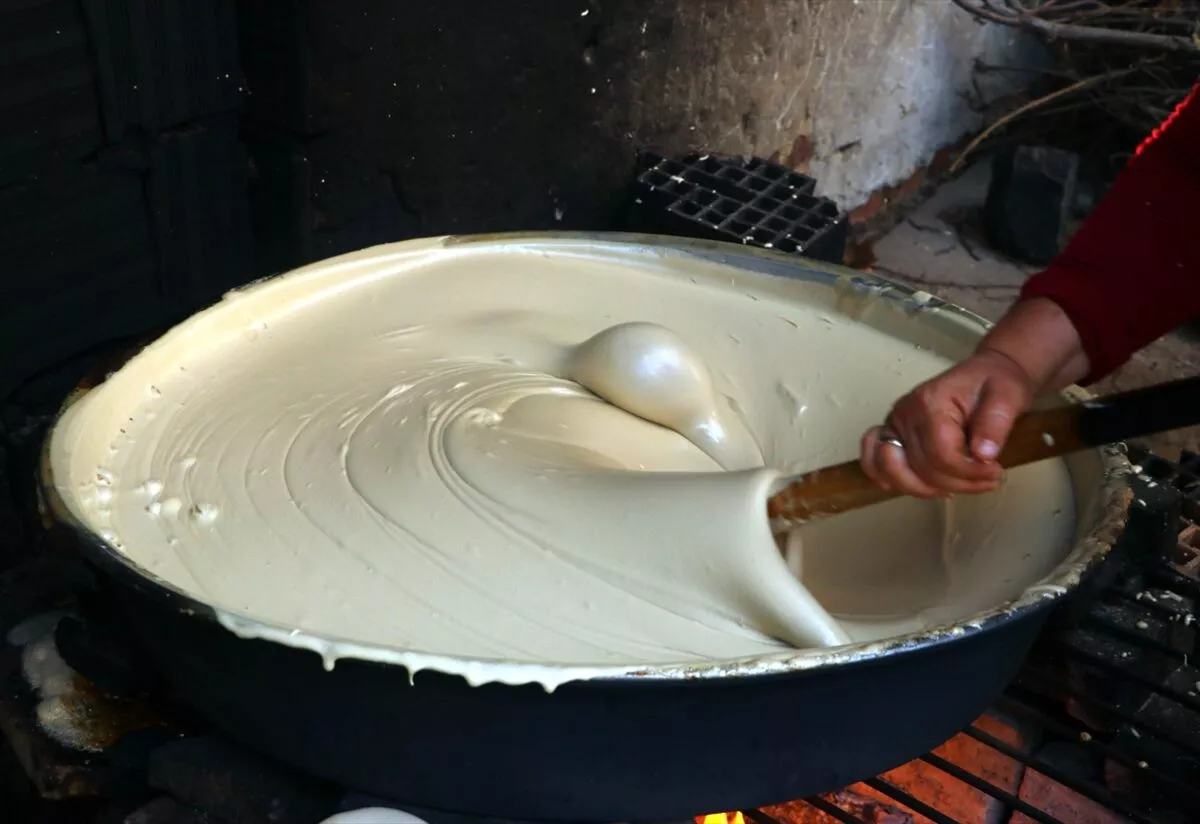 Tekirdağ'ın neyi meşhur? Tekirdağ'da gezilecek yerler