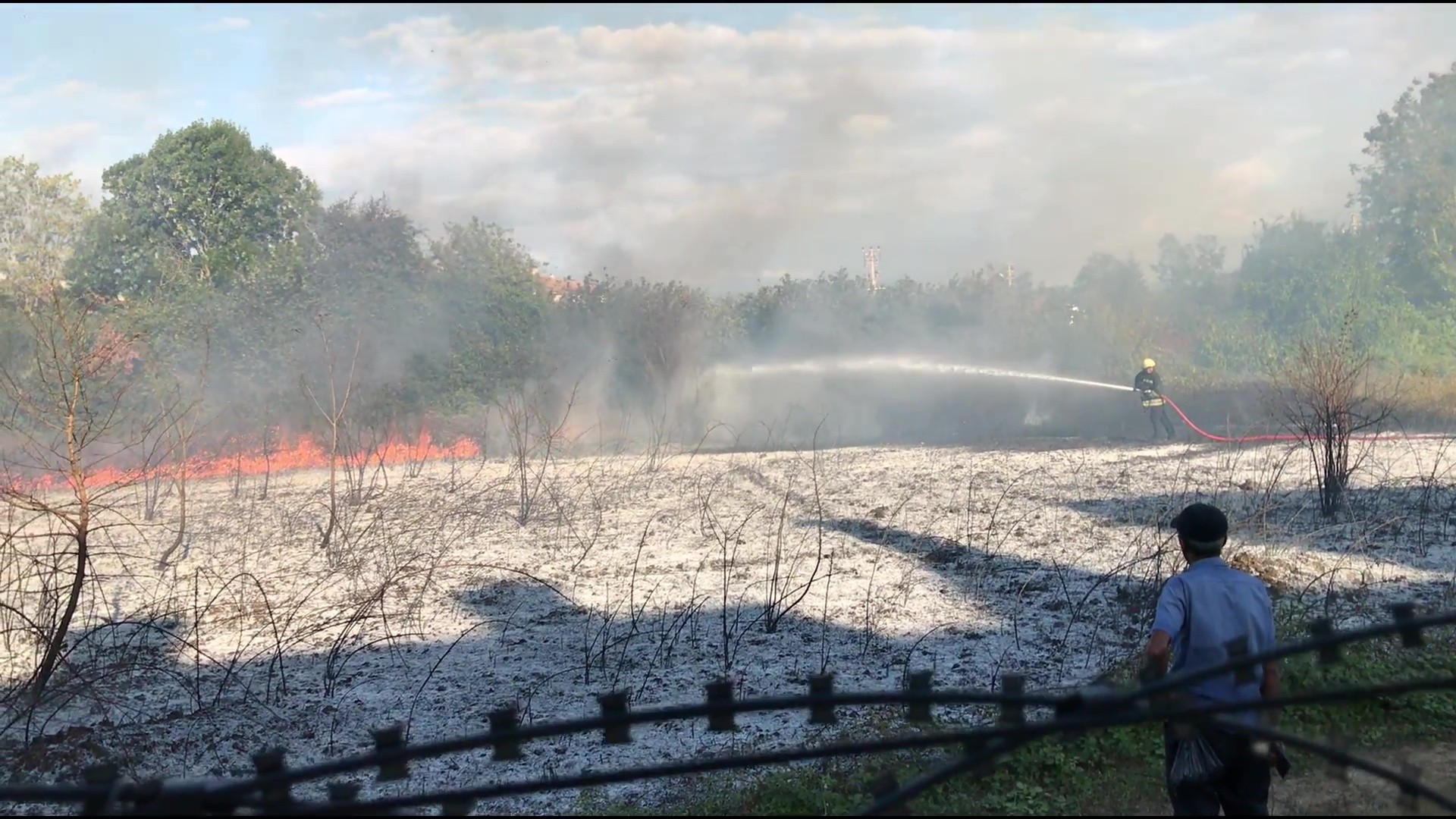 Düzce'de fındıklık alev alev yandı