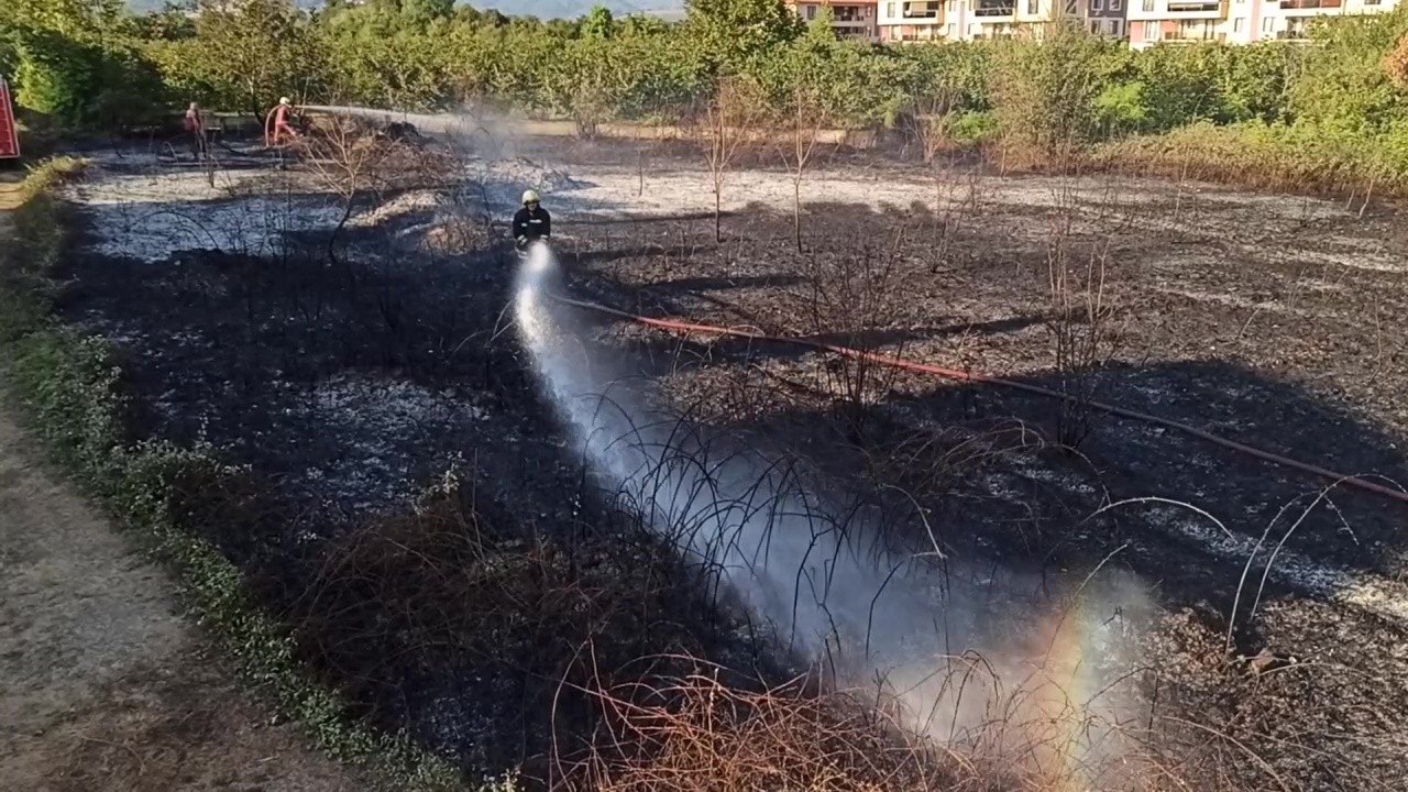 Düzce'de fındıklık alev alev yandı
