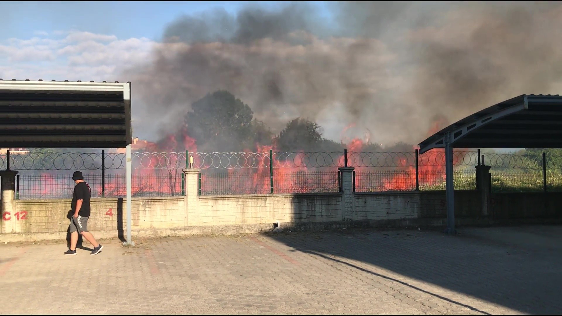 Düzce'de fındıklık alev alev yandı
