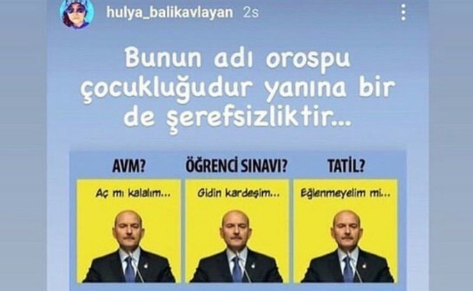 İçişleri Bakanı Soylu'ya küfür eden Hülya Balıkavlayan gözaltına alındı!