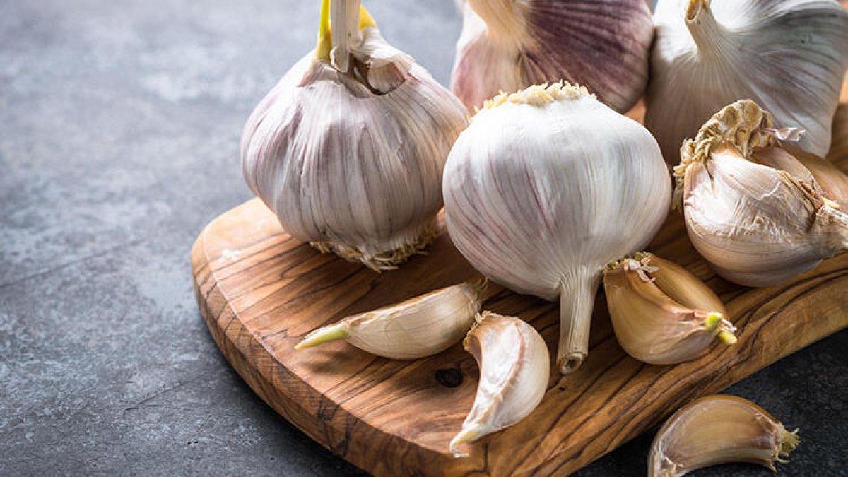 Sarımsak kokusu nasıl geçer? Sarımsak nedir? Faydaları nelerdir?