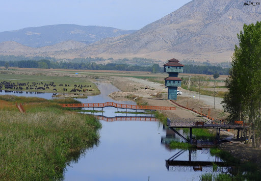 Muş'un neyi meşhur? Muş'da ne yenir? Gezilecek yerler