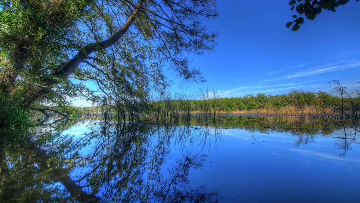 Kırklareli'nin neyi meşhur? Kırklareli'de ne yenir? Gezilecek yerler...
