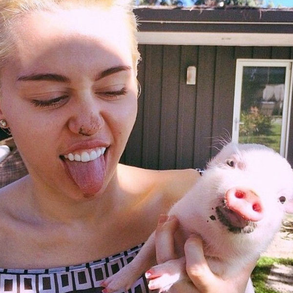 Miley Cyrus, "Artık beynim çalışmıyor" diyerek veganlığı bıraktı