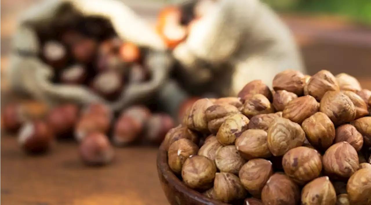 Fındık ihracatında İtalya ilk sırada
