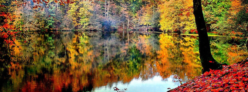 Bolu'nun neyi meşhur? Bolu'da ne yenir? | Gezilecek yerler