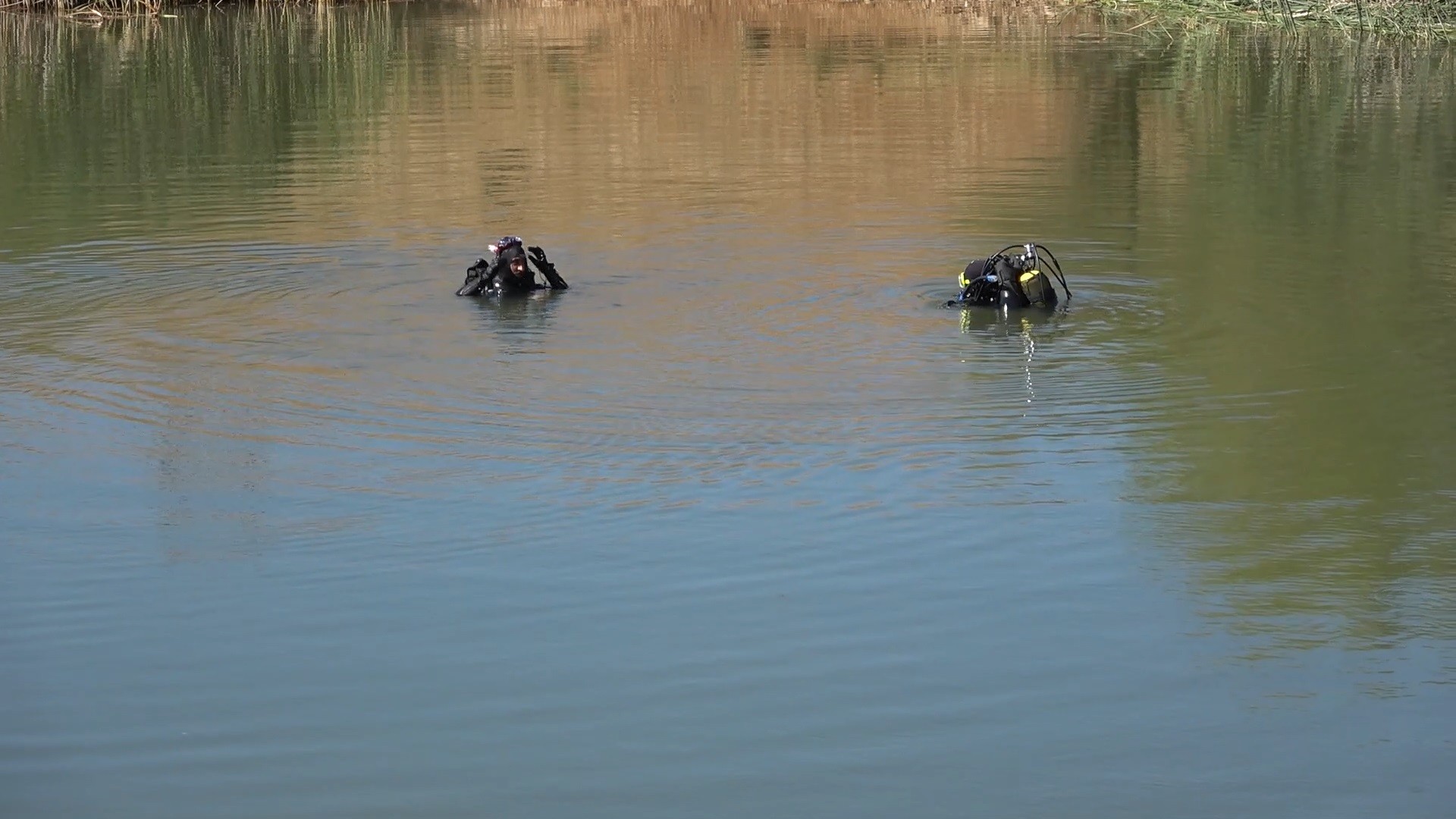 Koyununu kurtarmak isteyen çoban, feci şekilde can verdi!