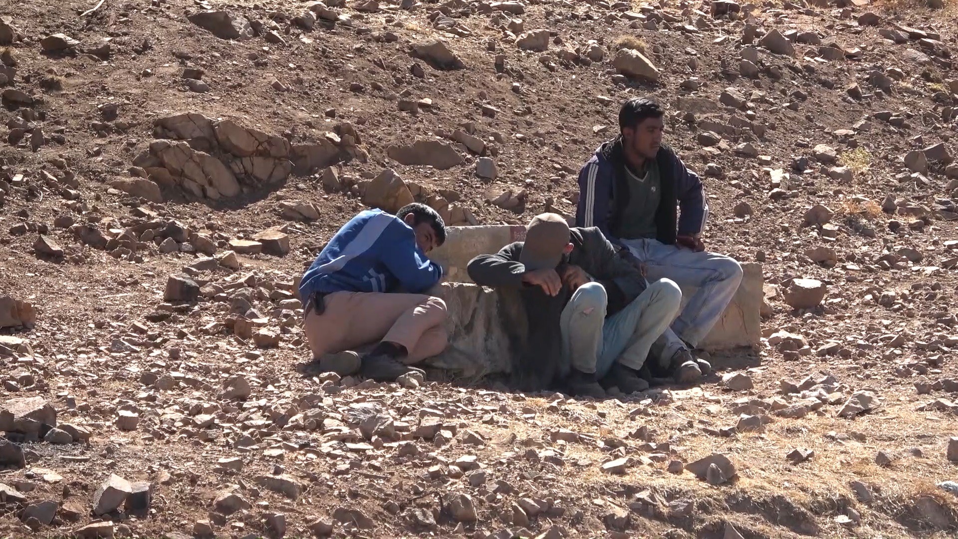 Koyununu kurtarmak isteyen çoban, feci şekilde can verdi!