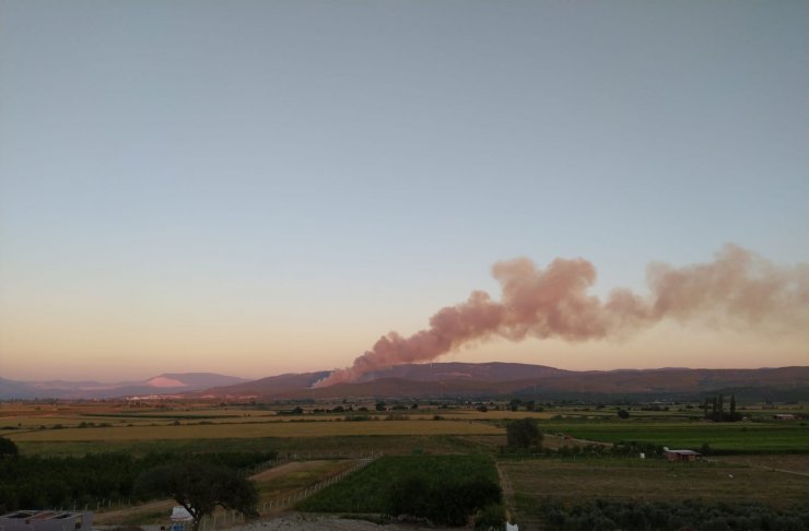 İzmir'in Kınık ilçesinde ormanlık alanda çıkan yangın kontrol altına alındı