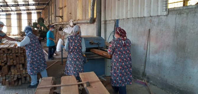 Karabük'ün Yenice ilçesinde Kereste fabrikasında çalışan kadınlar ekmeğini taştan çıkartıyor