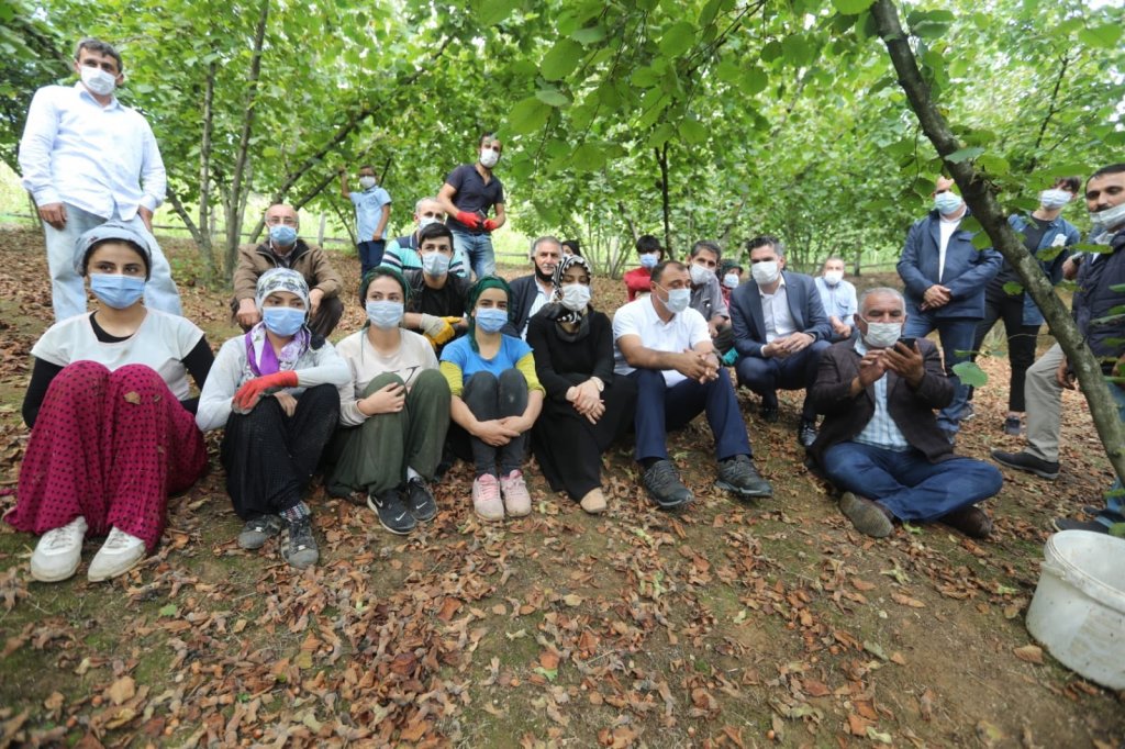 Sakarya Valisi işçilerle fındık toplayarak 'Birlik ve beraberlik' mesajı verdi