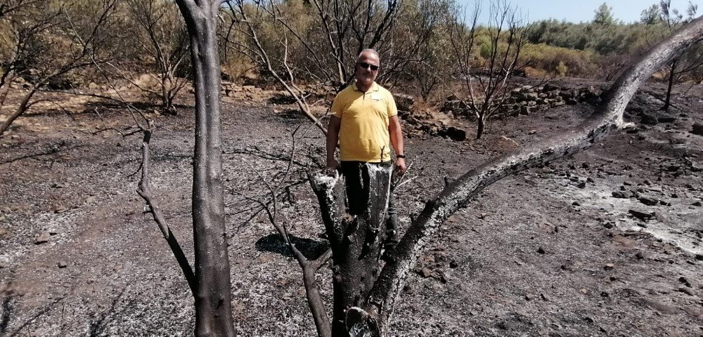 Manavgat'ta yangın: zeytin ve incirler kül oldu