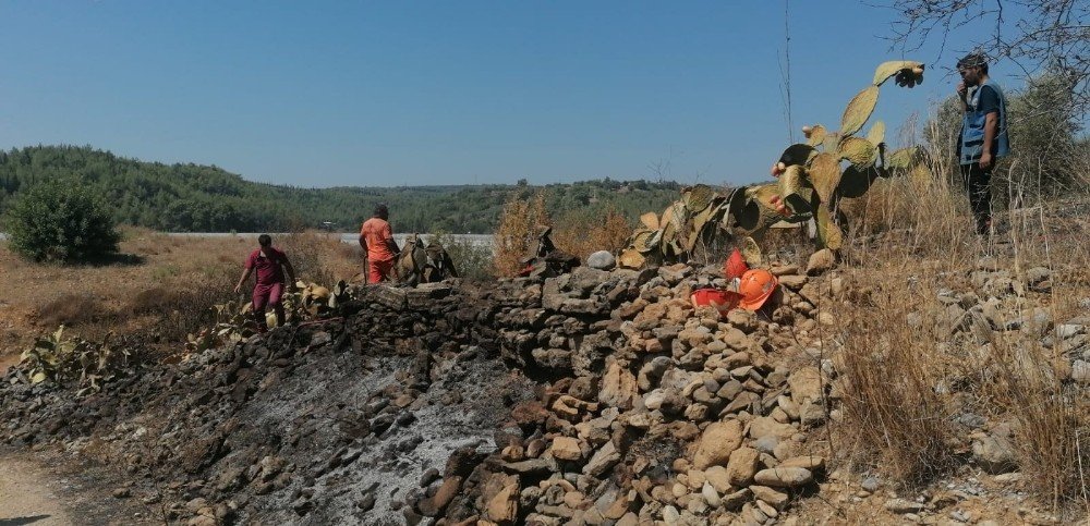 Manavgat'ta yangın: zeytin ve incirler kül oldu