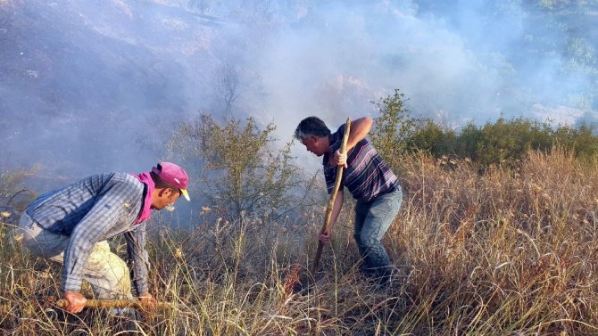 Aydın'ın Nazilli ilçesinde zeytin bahçelerinde çıkan yangın 4 saatte kontrol altına alınabildi