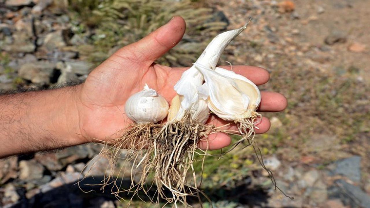 Tunceli'nin neyi meşhur? Tunceli'de ne yenir? Nereler gezilir?