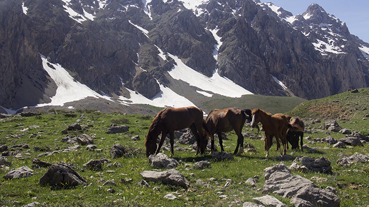 Tunceli'nin neyi meşhur? Tunceli'de ne yenir? Nereler gezilir?