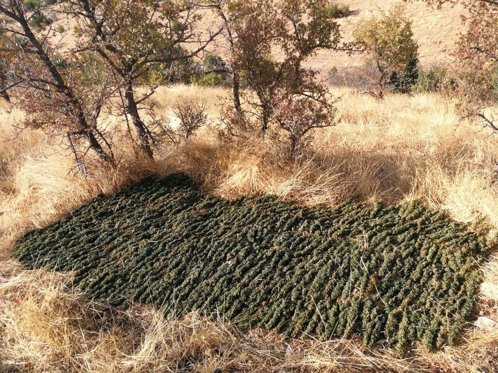 Diyarbakır’da narko - terörizm operasyonu