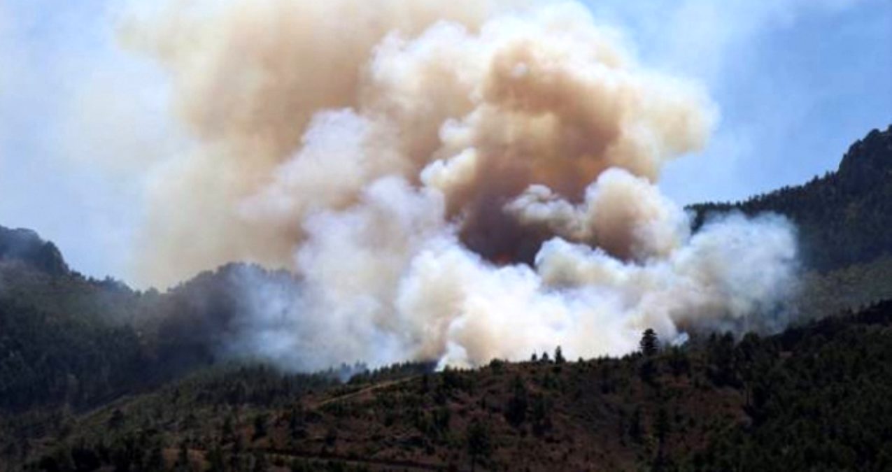 adana-yangin-son-dakika-adana-da-orman-yangini-13586811-46-amp.jpg
