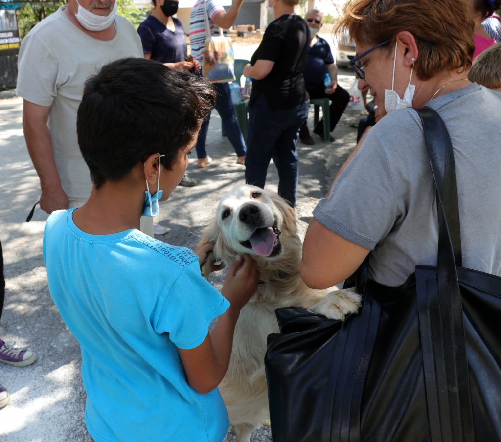 Zehirlenen köpeklerin sahibi tepkisini afişle dile getirdi