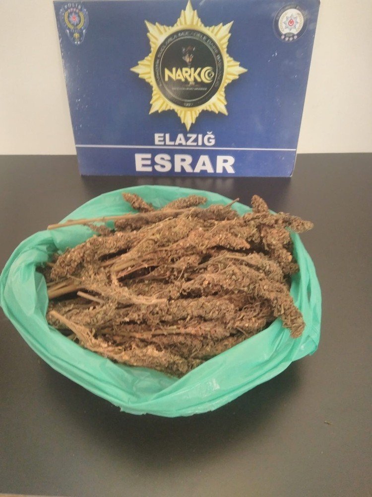 Elazığ’da uyuşturucu operasyonu: 2 kişi tutuklandı