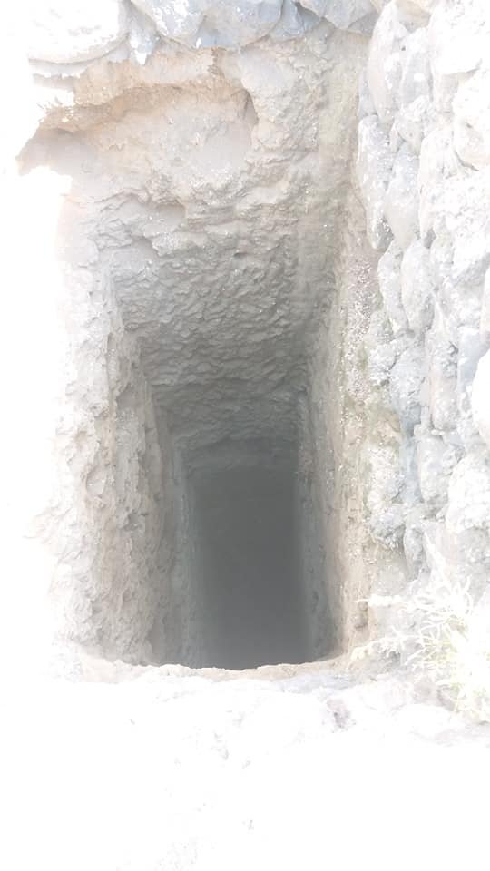 3 gündür 20 metrelik boş su kuyusunda mahsur kalan çoban köpeği kurtarıldı