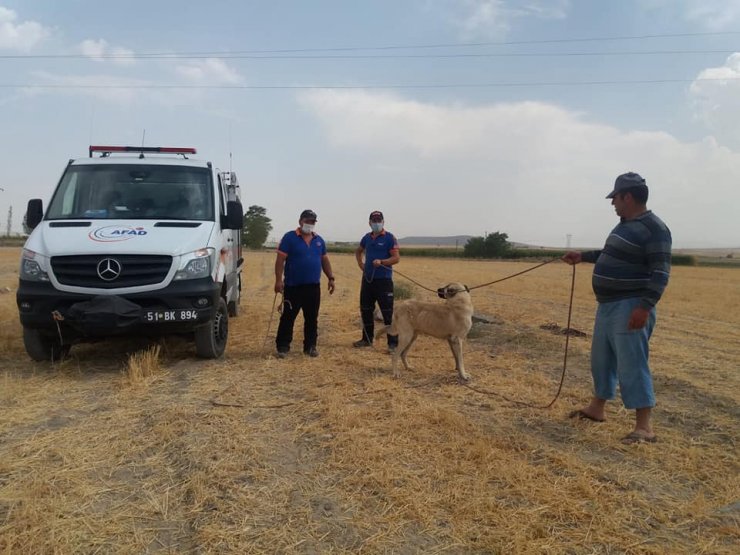 3 gündür 20 metrelik boş su kuyusunda mahsur kalan çoban köpeği kurtarıldı