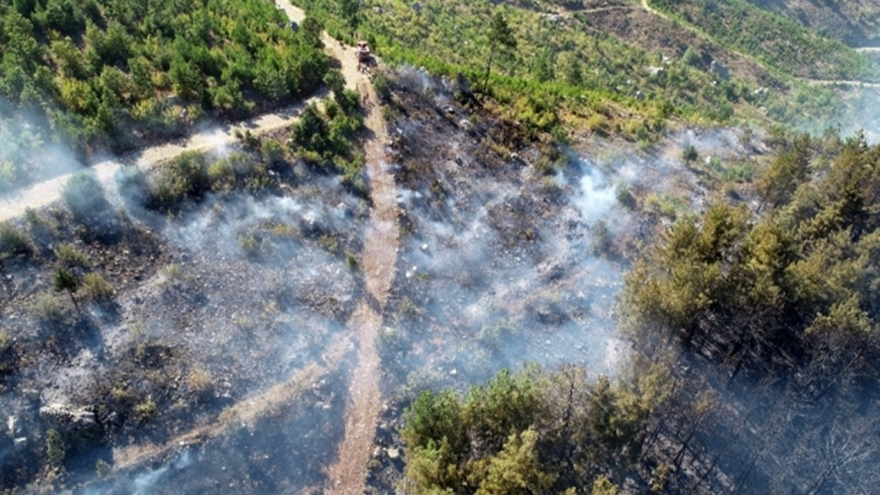 Pozantı Belediye Başkanından yangın açıklaması 