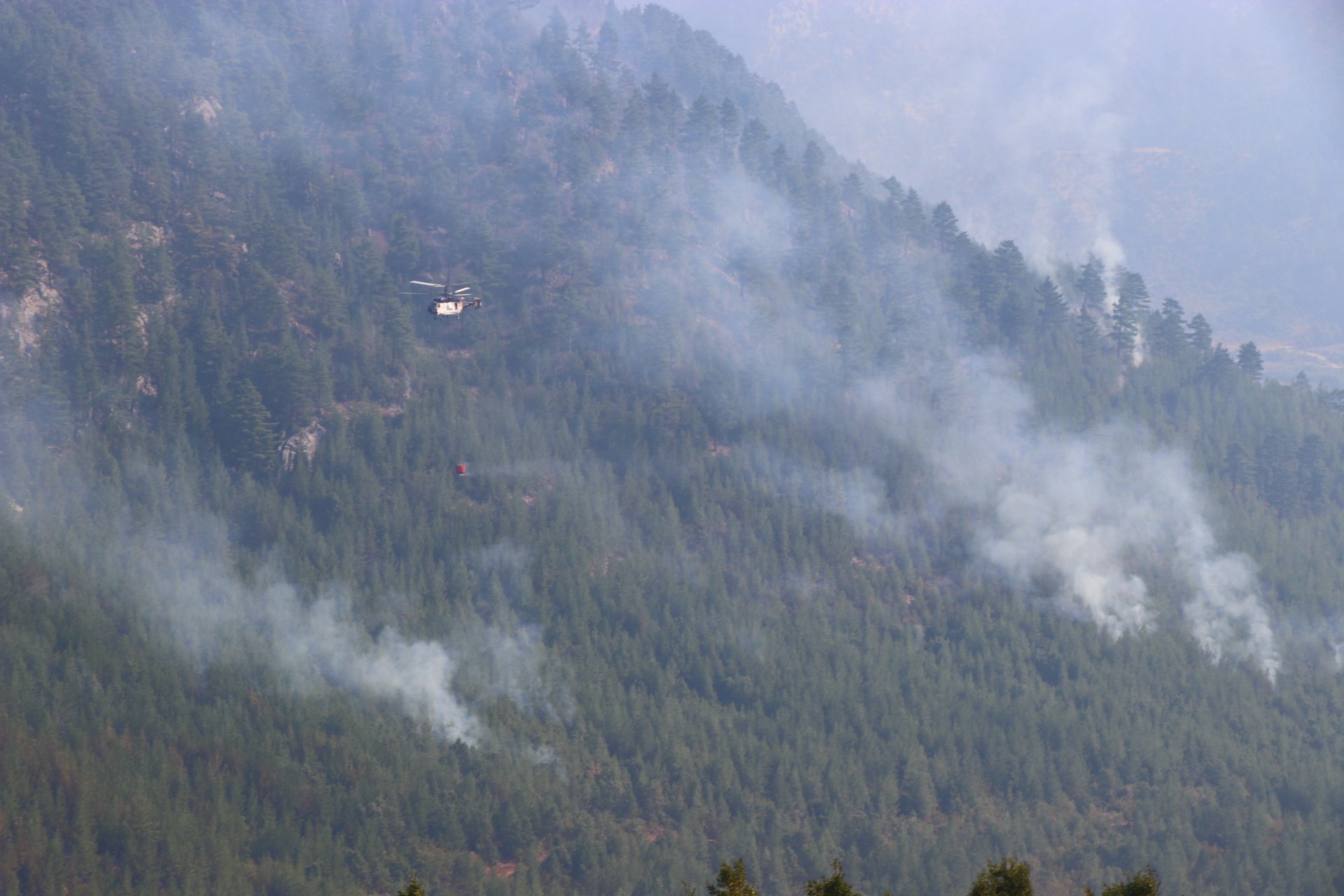 Pozanta yangını kahramanlar sayesinde kontrol altında
