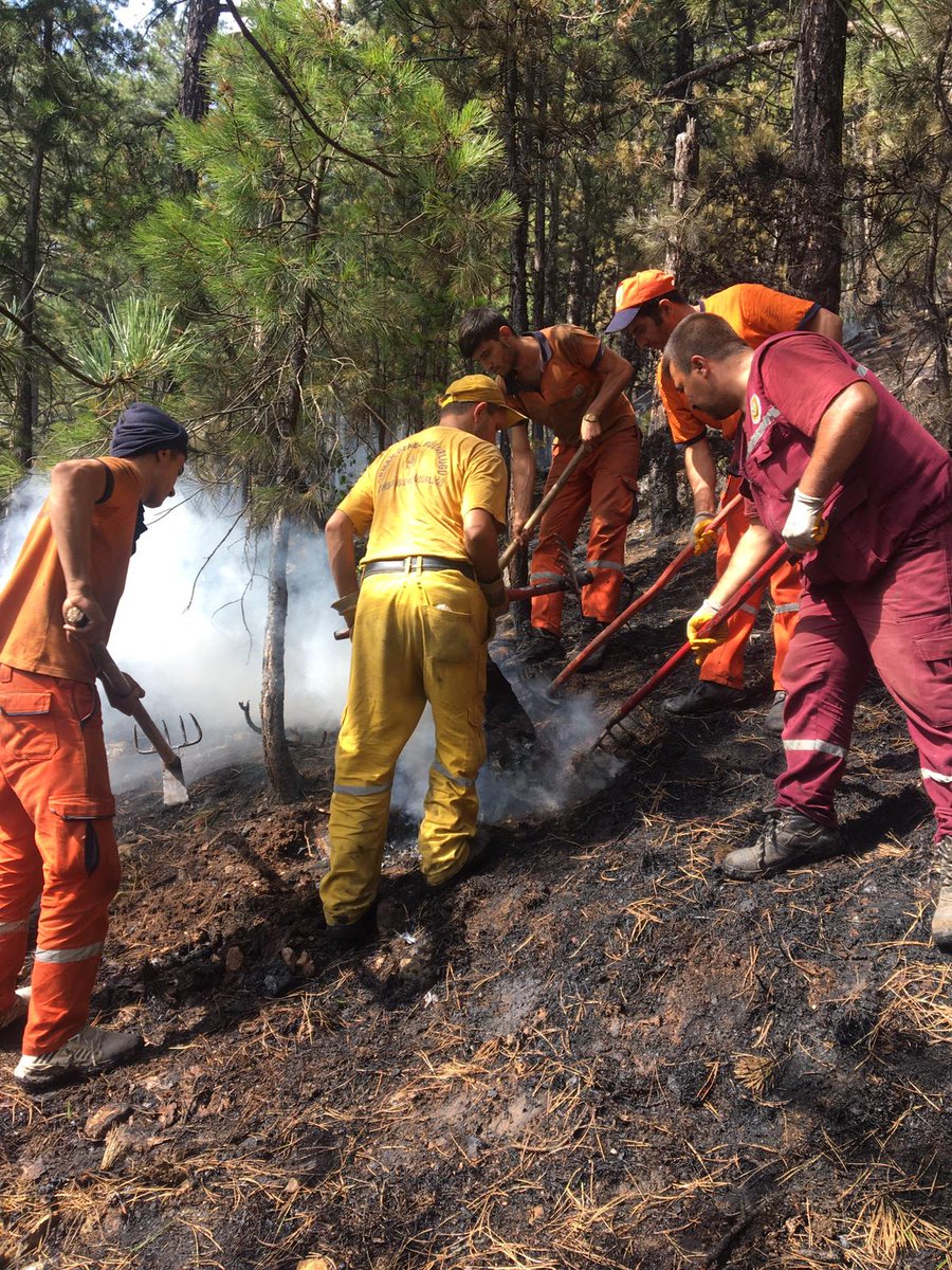 Pozanta yangını kahramanlar sayesinde kontrol altında