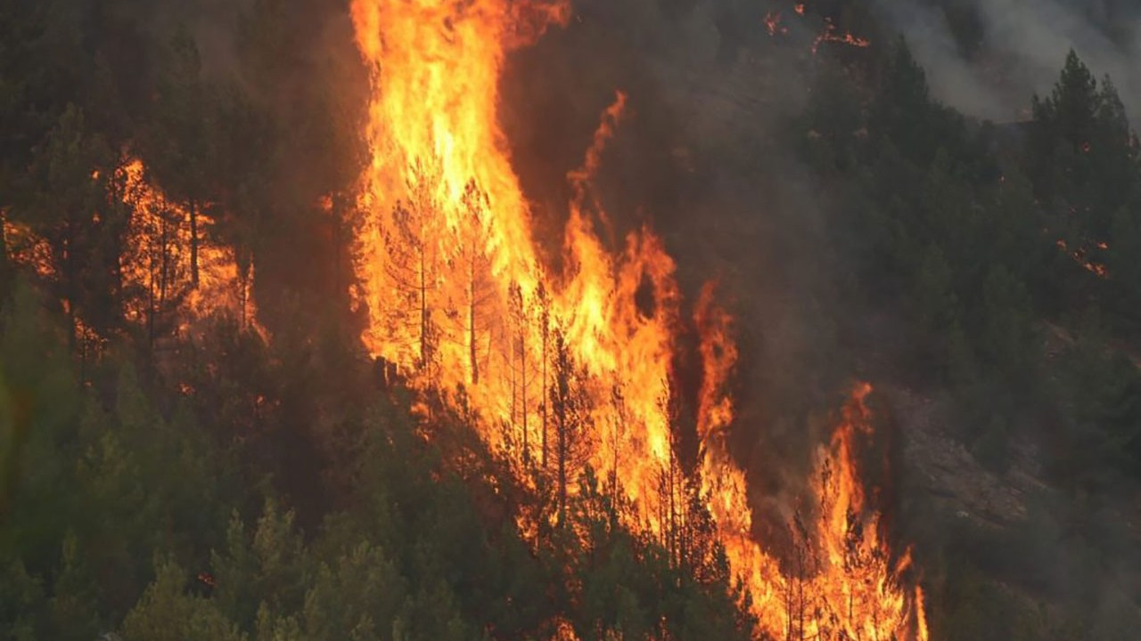 Pozantı Belediye Başkanından yangın açıklaması 