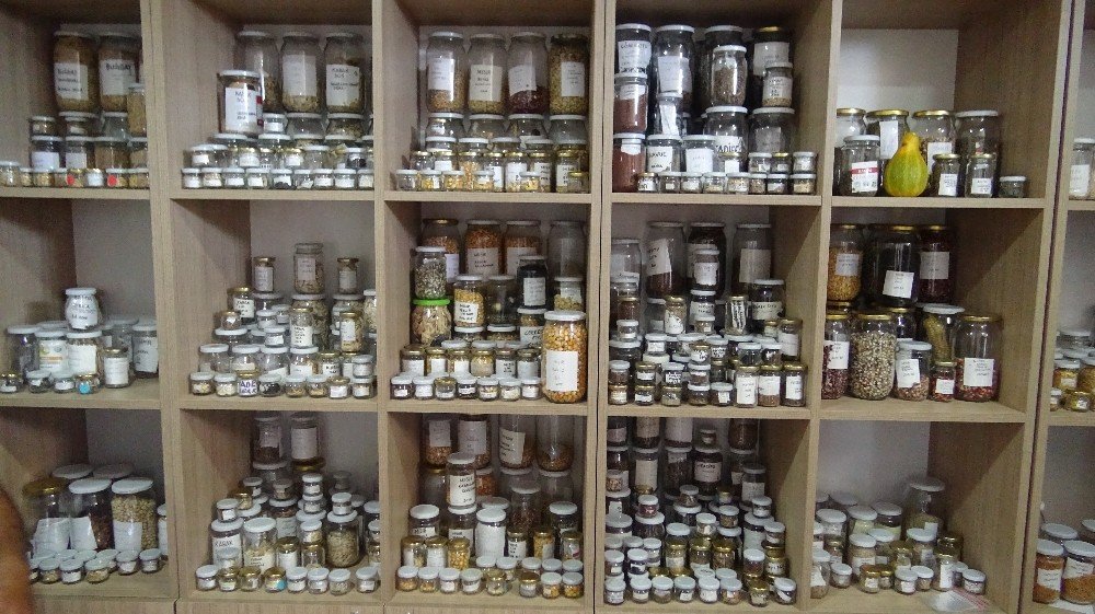 Nilüfer Belediyesi'nden örnek hareket: Tohum Kütüphanesi 