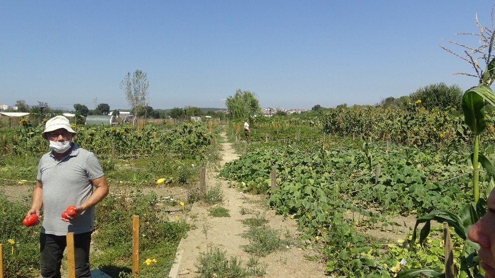 Nilüfer Belediyesi'nden örnek hareket: Tohum Kütüphanesi 