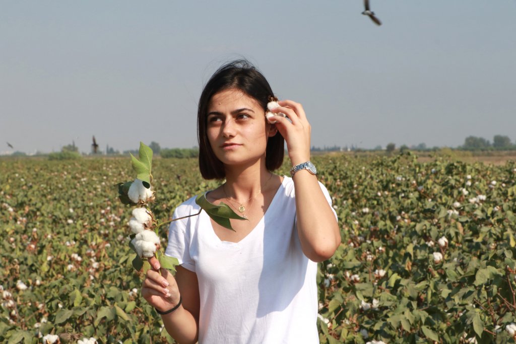 Pamuk üreticisinden destek talebi