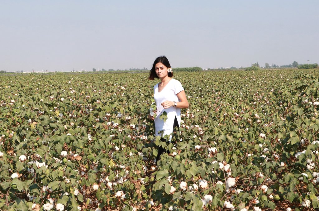 Pamuk üreticisinden destek talebi