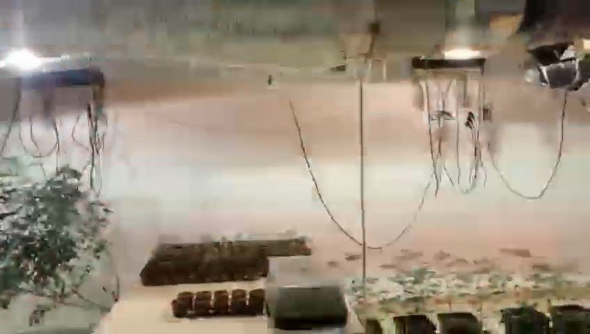 Bursa’da üniversite öğrencilerinin yanında Hint keneviri fabrikası