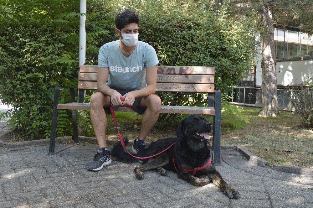 Kovid-19 sürecinde evcil hayvanlarınızı sevdirmeyin!