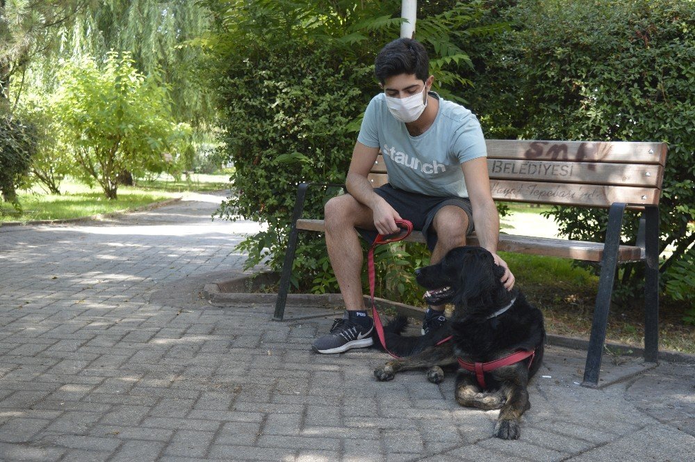 Kovid-19 sürecinde evcil hayvanlarınızı sevdirmeyin!