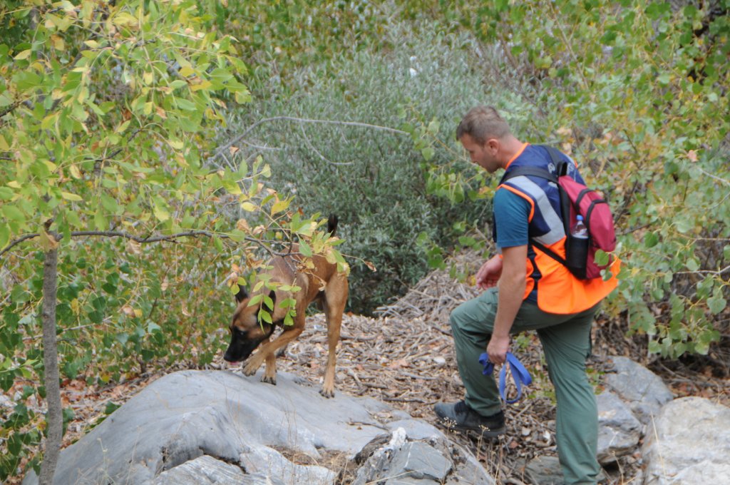 Tunceli'de 7 gündür kayıp kardeşler için özel ekip kuruldu