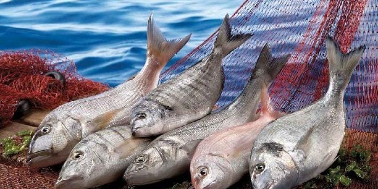 Uzmanlar uyarıyor: Gıdalar koronavirüsü engellemez!