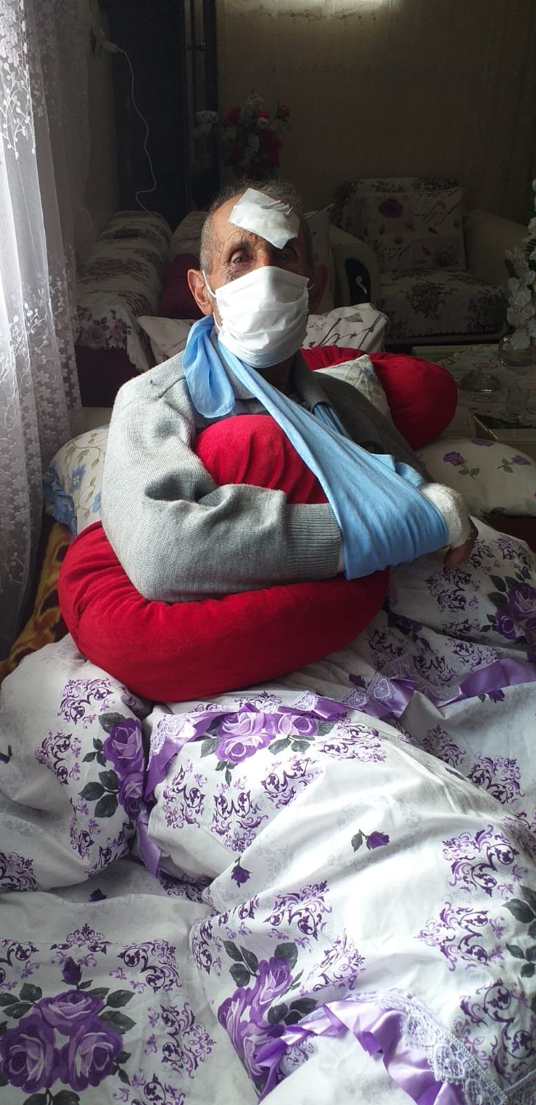 Yaşlı adama ayı saldırdı, köpek kurtardı