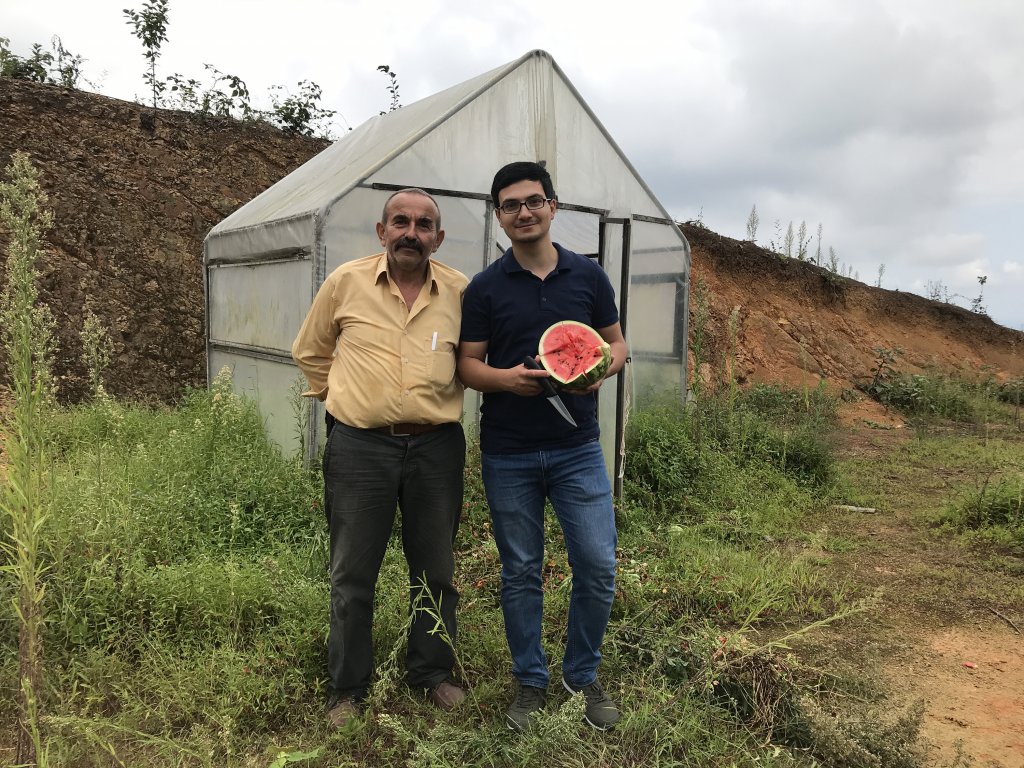 Rize'de çekirdekten karpuz yetiştiriciliği