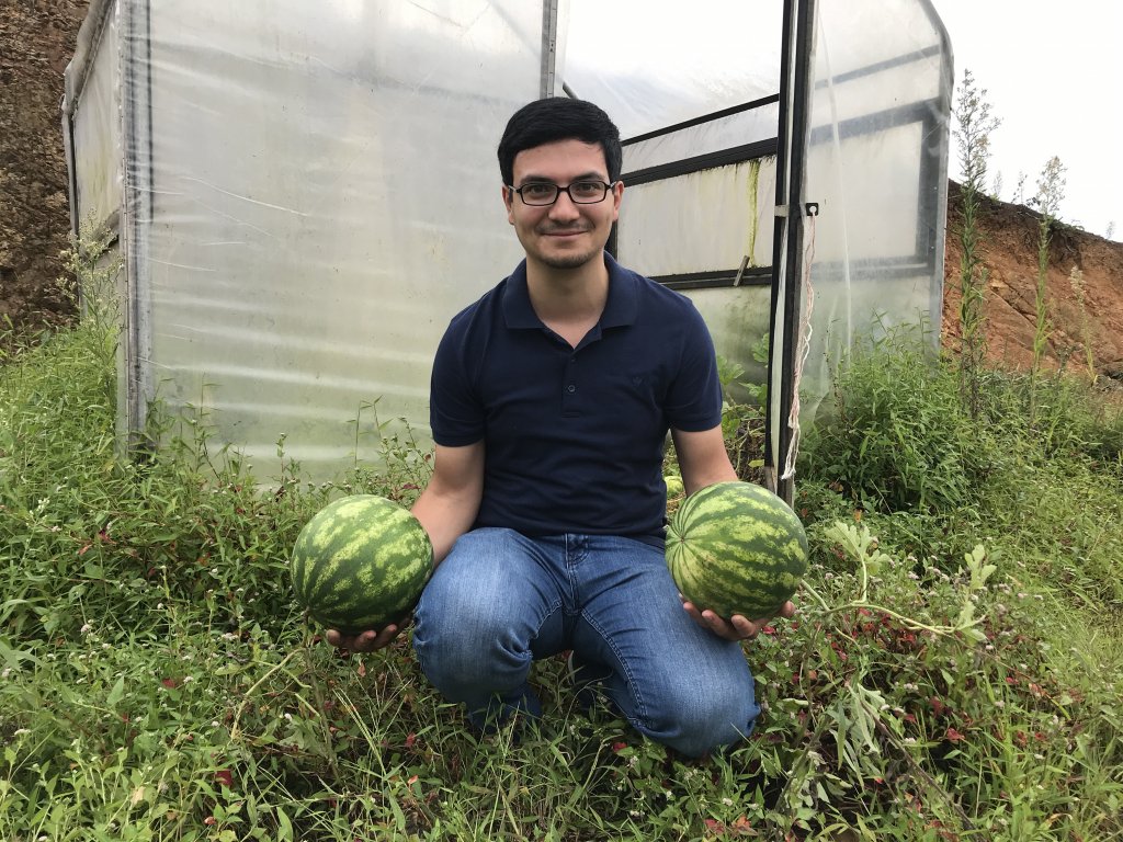 Rize'de çekirdekten karpuz yetiştiriciliği